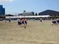 IMG_7566