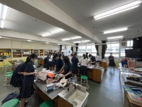 IMG_8456